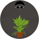 Photo de profil de mathis lambart